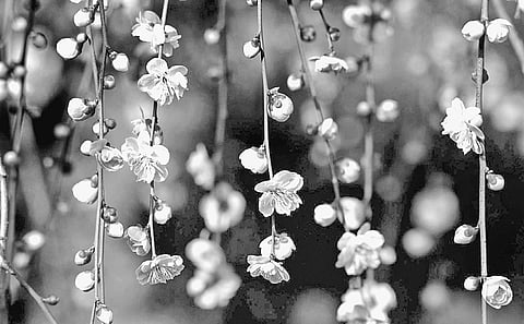 Flow With Life to Find Contentment