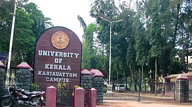 Bye to Acacia, Welcome to Local Trees