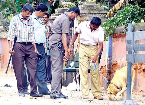 New Members for Dog Squad