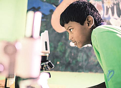 Science Fest on Till Friday