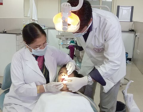 Stem That Gives New Roots to Teeth