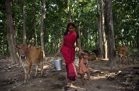 Image used for representational purposes only.