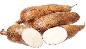 'Tapioca has Emerged as an Antidote for Cancer'