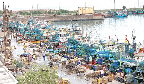 VUDA to Develop Vizag Fishing Harbour