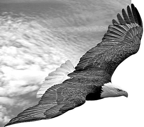 Let Go of Desires, Enjoy Freedom