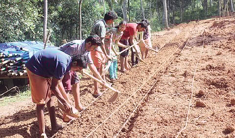 Engg College NSS Volunteers Farming their way to Charity