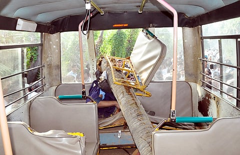 Kid Dies, Eight Injured as Tree Trunk Cuts Through School Bus 