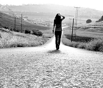 A Vain Pursuit: Excerpt From 'The Book of Life'