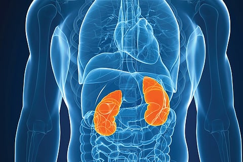 Mothers and Spouses top Kidney Donors List in TN