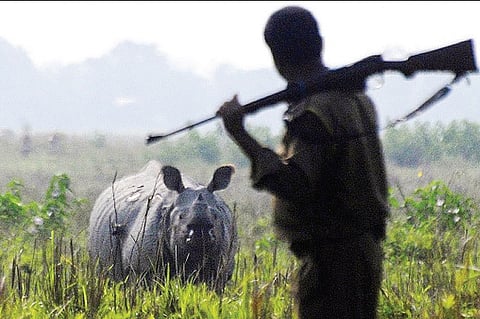 Heavy Duty Force To Combat Rhino Poaching In Assam