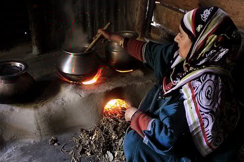 Of 'Shab Deg', Home-Reared Roosters and Grandma's Magic