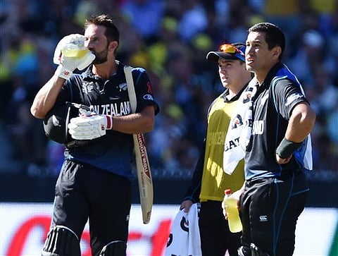 New Zealand vs Australia: World Cup Final match