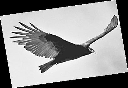 Race against Yourself