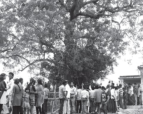 Darus for Trinity all Roads Lead to Jagatsinghpur Sites