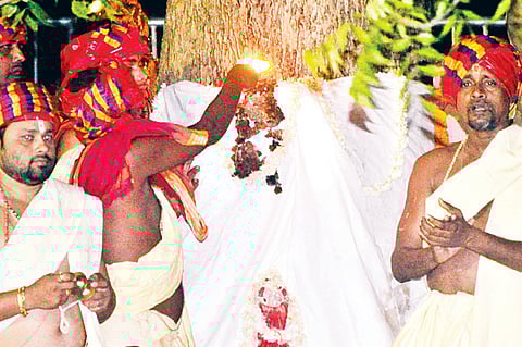 Daru Rituals Begin with Banajagis Arrival 