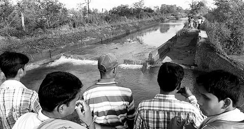 Crop Land Sand-cast by Breach in Bargarh Arterial Canal