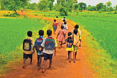 Orange Sweet Potato Reduces Diarrhoea in Children