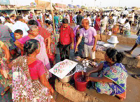 Fish Lovers Chicken Out as Retail Prices Skyrocket