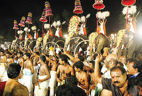 A Jumbo Problem for Kerala Culture