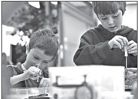 Venturing into Professional Spaces