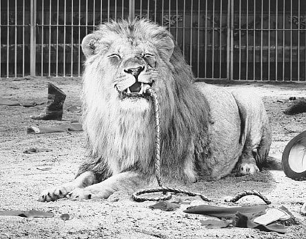 Experience Can't Lead you to Truth