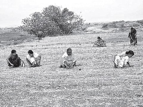 Several Villagers in Kurnool Scramble for Diamonds as Monsoon Sets In