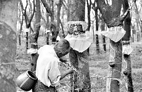 Mixed Expectations About Farmers'  Package