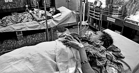 2 Women Injured in Bannerghatta Park, Tusker Attack Not Ruled Out 