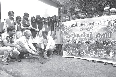 On a Mission to Create a Herbal Garden 