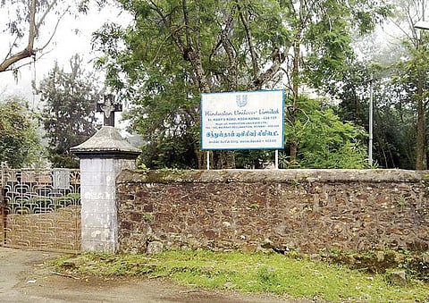 After 14 Years, Mercury Level Still High in Kodai Flora