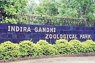 Zoo to be Shifted, Ganta Lays Stone at New Location
