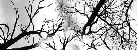 The Shallow Mind Can Never Become Deep