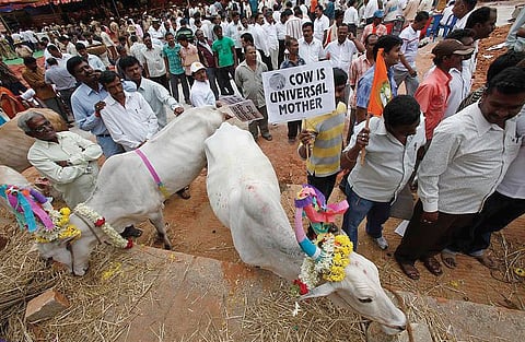 PMO Seeks New Cowboys as Saviors