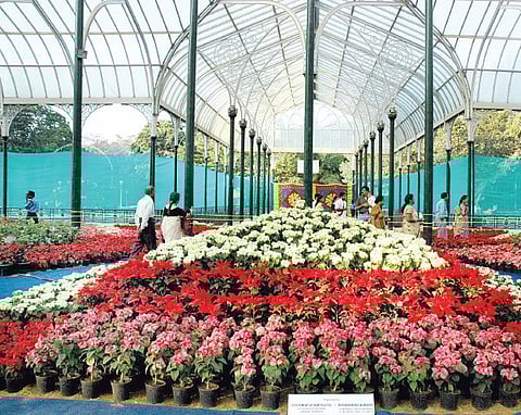 Take an Extra Rs 10 for Lalbagh Flower Show