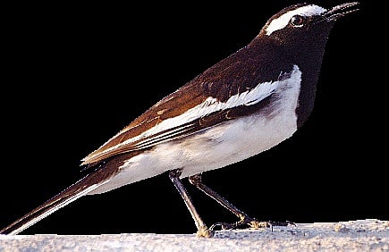 When Urban Architecture Evolved, Who Lost Homes?