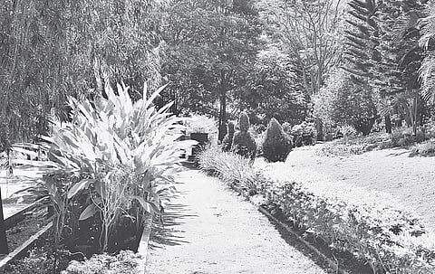 Living by Walden on Bannerghatta Road