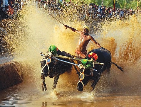 The Fading Days Of Kambala