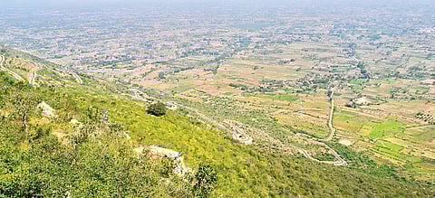 Beneath Blissful Veneer Lies Sad Picture