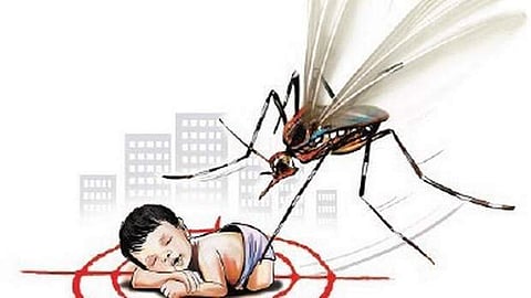 Odisha's Angul district on high alert after child's death from Japanese Encephalitis