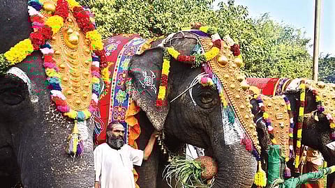Srirangam temple elephants | File Photo