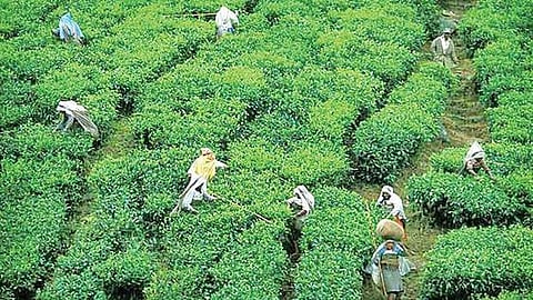 Image used for representational purpose only