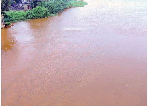 File photo of the Periyar river in the Eloor-Edayar industrial belt