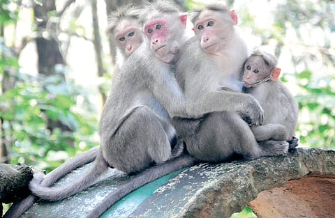 Image for representational purpose only.