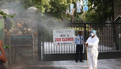 Delhi zoo keeper sprays inside of the zoo where several birds were found dead due to the H5 Avian Influenza Virus. | Express by Shekhar Yadav