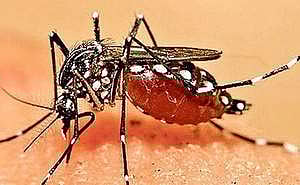 File photo for representational purposes only.