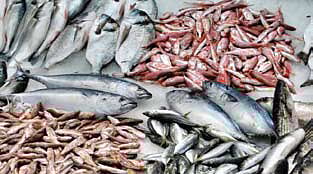 Fish sold in the market | File photo