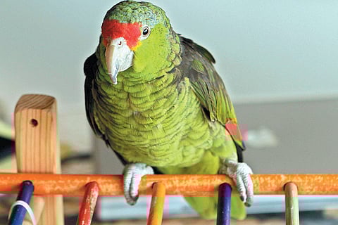 For representational purpose | EPS