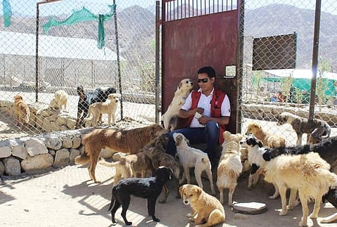 Peaceful land Ladakh dogged by deadly dogs