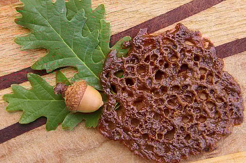 Acorn lace cookie | Reuters