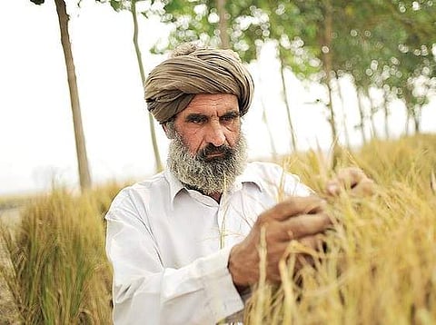 NITI Aayog to give life to new land lease law